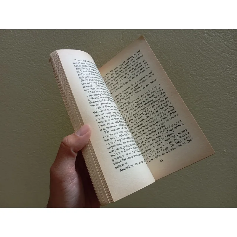 Black dogs, ian mc ewan , sách ngoại văn tiếng Anh english book  734088