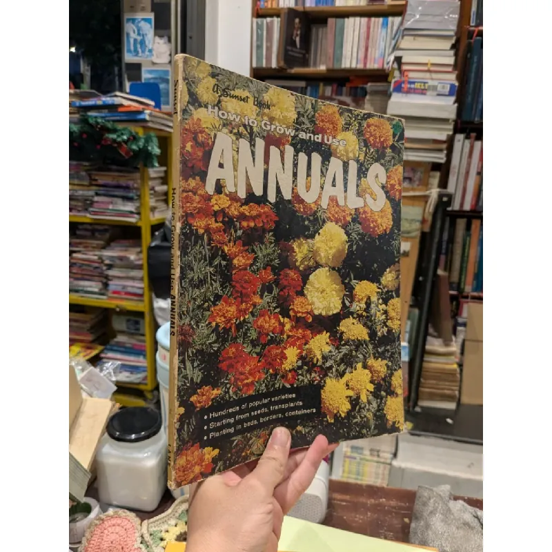 How to grow and use Annuals 708891