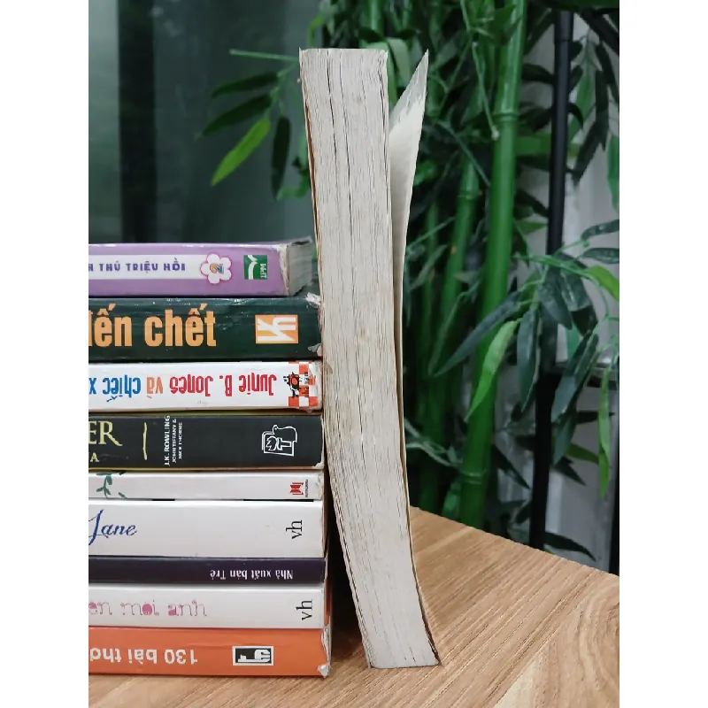 Nghệ thuật chăm sóc mèo – David Alderton 574085