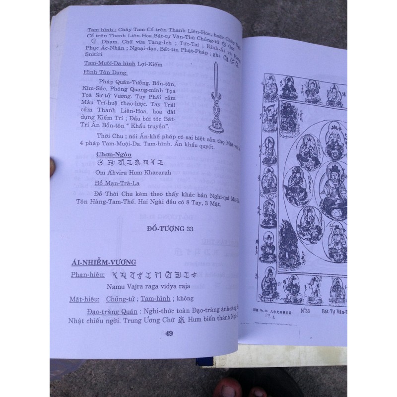 Đại Tạng Nguyên Bản (Kinh Mật Tông) – Nhị Tổ Kim Cang Sư (10 Quyển)

 93175