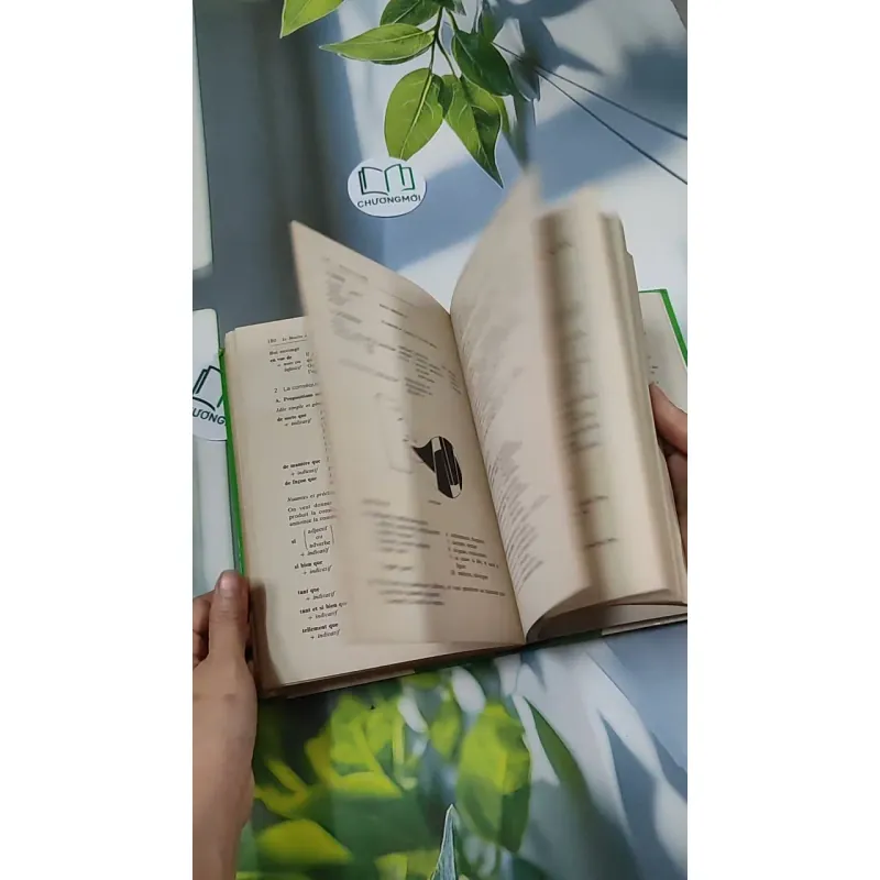 [MIỄN PHÍ BỌC SÁCH] Le Moulin à Paroles - Michel Benamou & Jean Carduner 750741