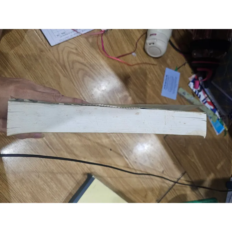 Chúa Nguyễn và vương triều Nguyễn trong lịch sử Việt Nam  (sách photo)
 691556