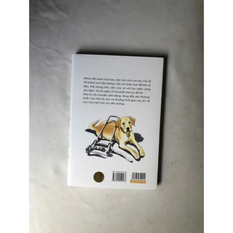 My Eye - Saya Miyauchi 1022931