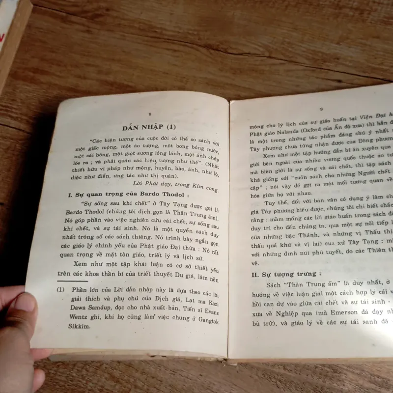 Thân Trung Âm hay là Sự sống sau khi chết  763458