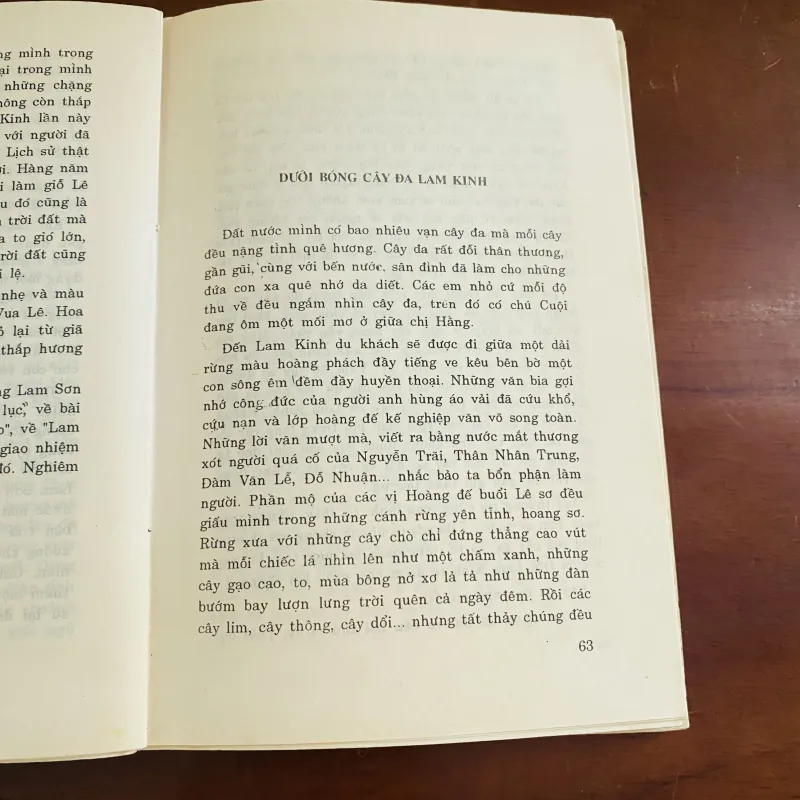 Mùa thu Lam Kinh (1994) 976845