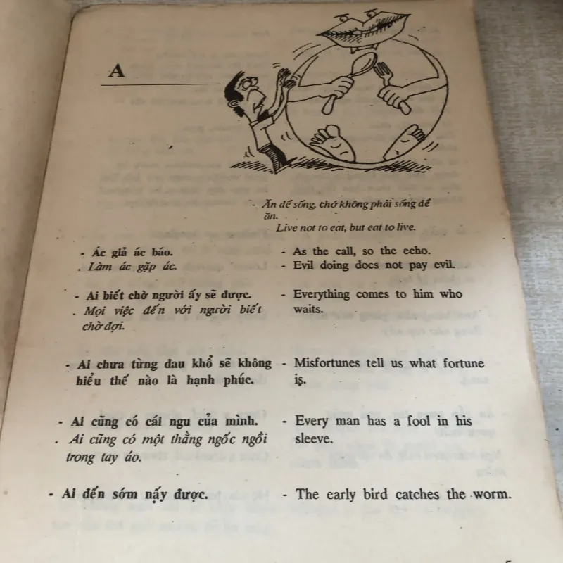Châm ngôn và tục ngữ thông dụng Việt Anh 1000265
