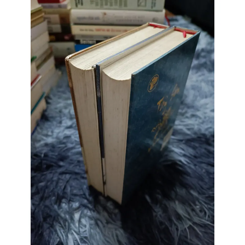 Tây Sơn bi hùng truyện (Lê Đình Danh) 1030698