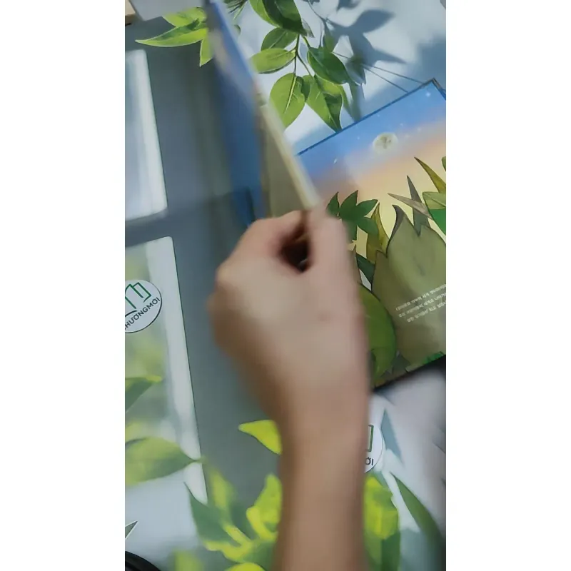 Truyện thiếu nhi Hàn Quốc: Moyamo Anu 26 -  모야모 아누와: 달나라 하얀 달꽃 750839