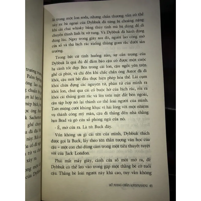 Hậu duệ thần đèn - tập 3 - Hổ mang chúa Kathmandu - P.B. Kerr 1031187