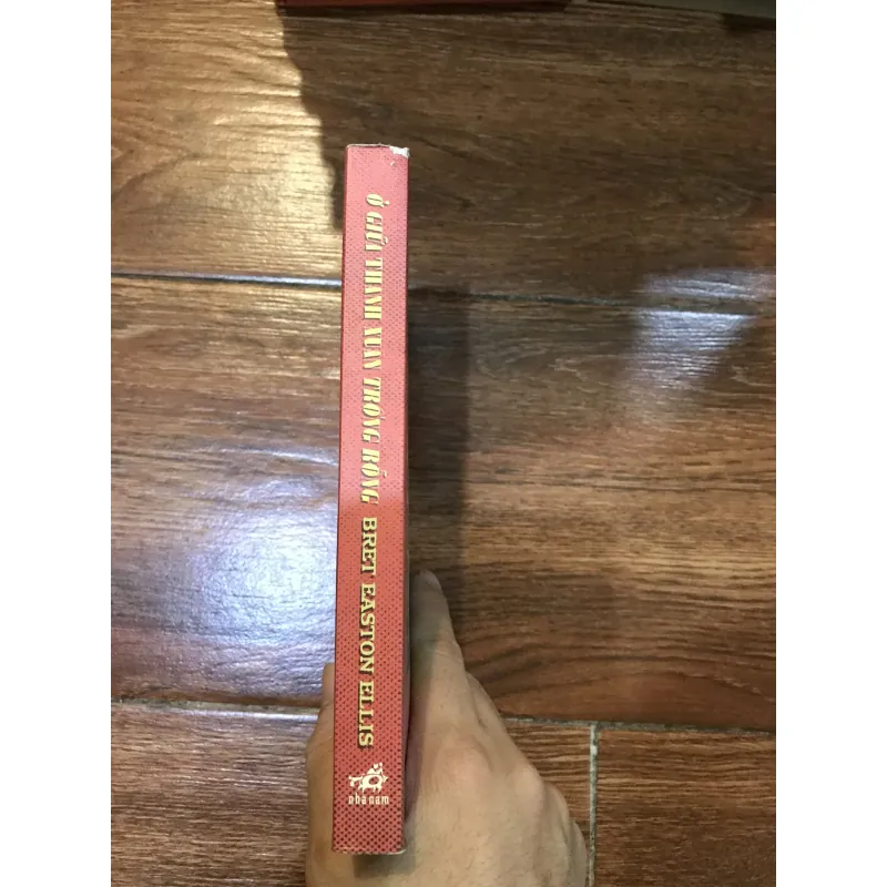 Ở Giữa Thanh Xuân Trống Rỗng - Bret Easton Ellis (8) 943117