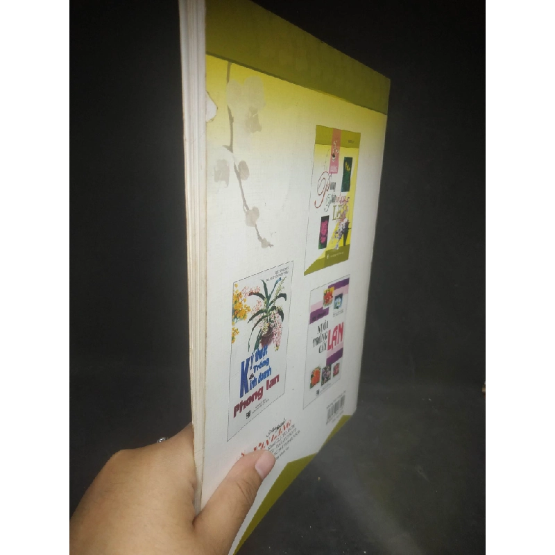 [59K/kg] Những phương pháp trồng lan mới 80% HCM1203 364835
