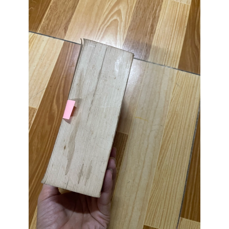 Từ điển Hán việt khổ nhỏ  333010