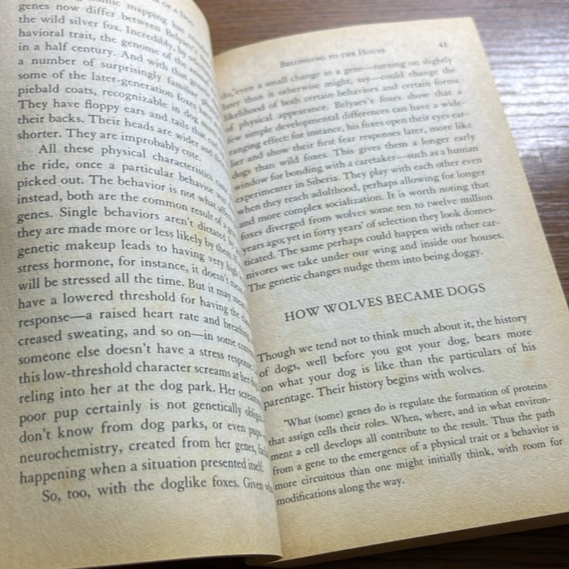 Inside of a dog Alexandra Horowitz 521160