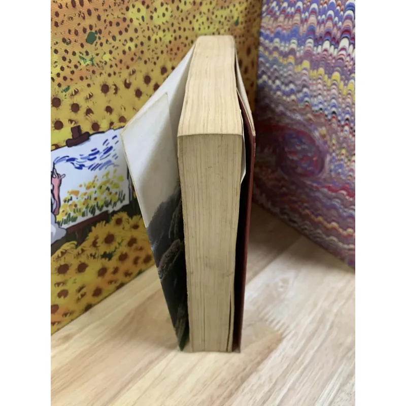 Tiểu Thuyết Kim Dung Qua Các Hội Thảo Quốc Tế 1998 & 2003 739046