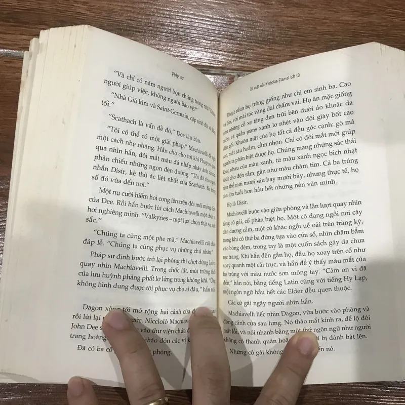 Pháp Sư - Bí mật của Nicholas Flamel bất tử - Michael Scott (8) 721204