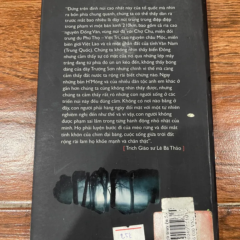 KIMONO trong rừng thẳm  (k3) 563580