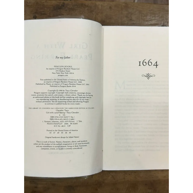 Girl with a Pearl Earring - Tracy Chevalier 731285