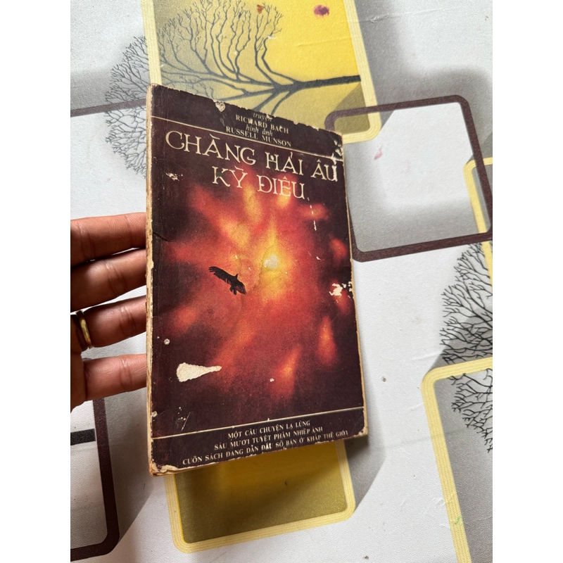 Chàng trai kỳ diệu 534209