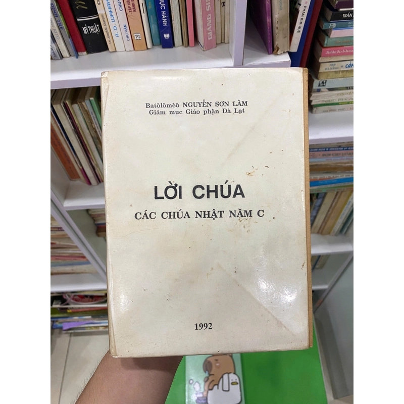 Lời Chúa - Các Chúa Nhật Năm C 319150