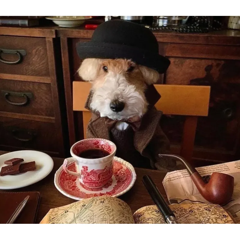 Sách ngẫu nhiên 800555