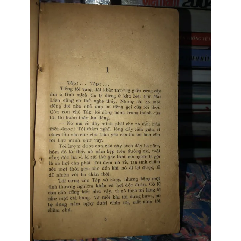 Mắt sao gợi nhớ - Delly 973342