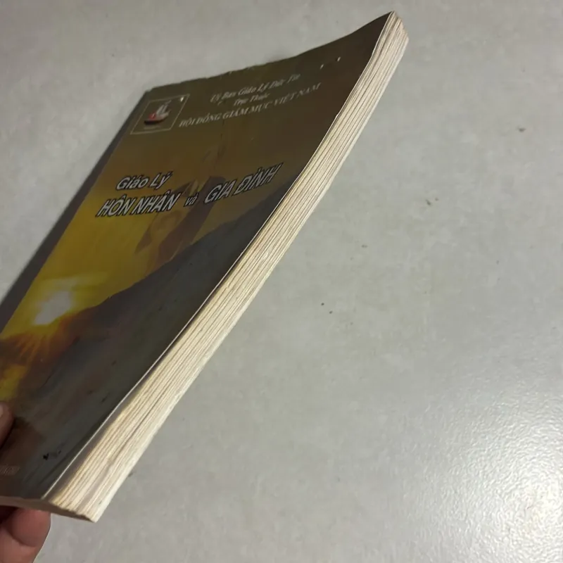 Giáo lý hôn nhân và gia đình 784748