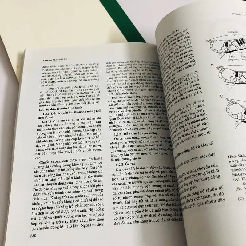 THỰC TẬP HOÁ SINH Y HỌC  675231