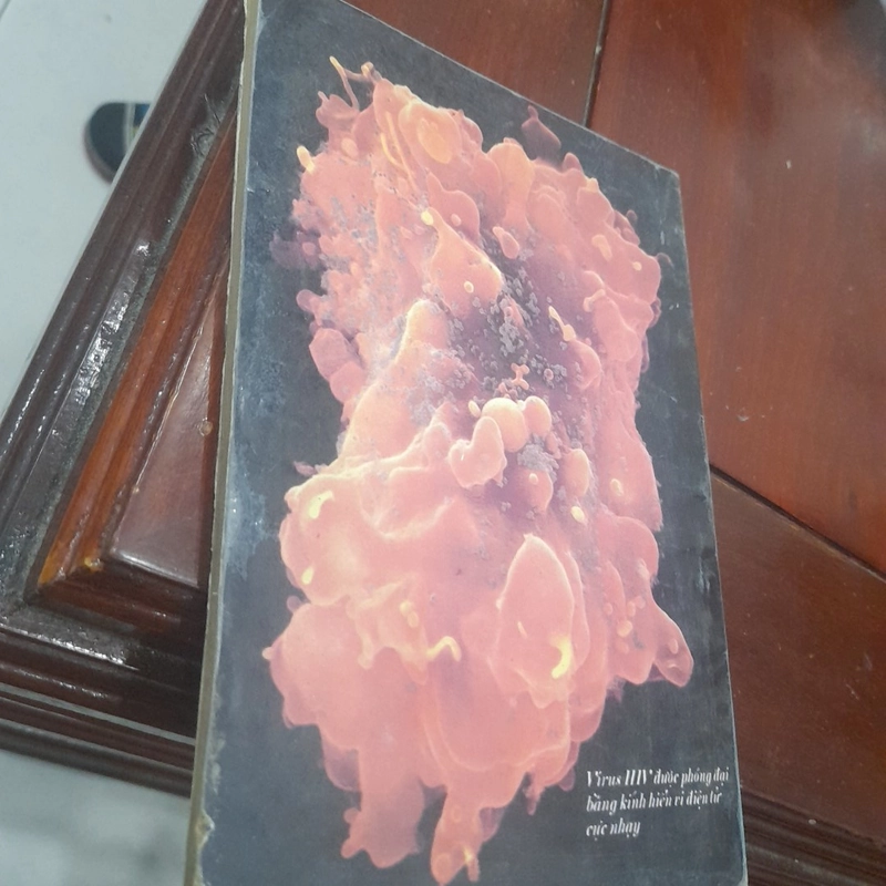 KHOA HỌC PHỔ THÔNG số 241 tháng 6-1994 469050