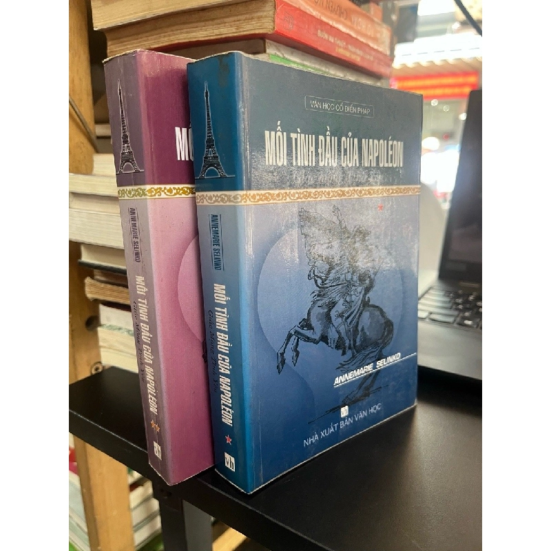 Mối tình đầu của Napoleon: giấc mộng tình yêu - Annemarie Selinko 545258