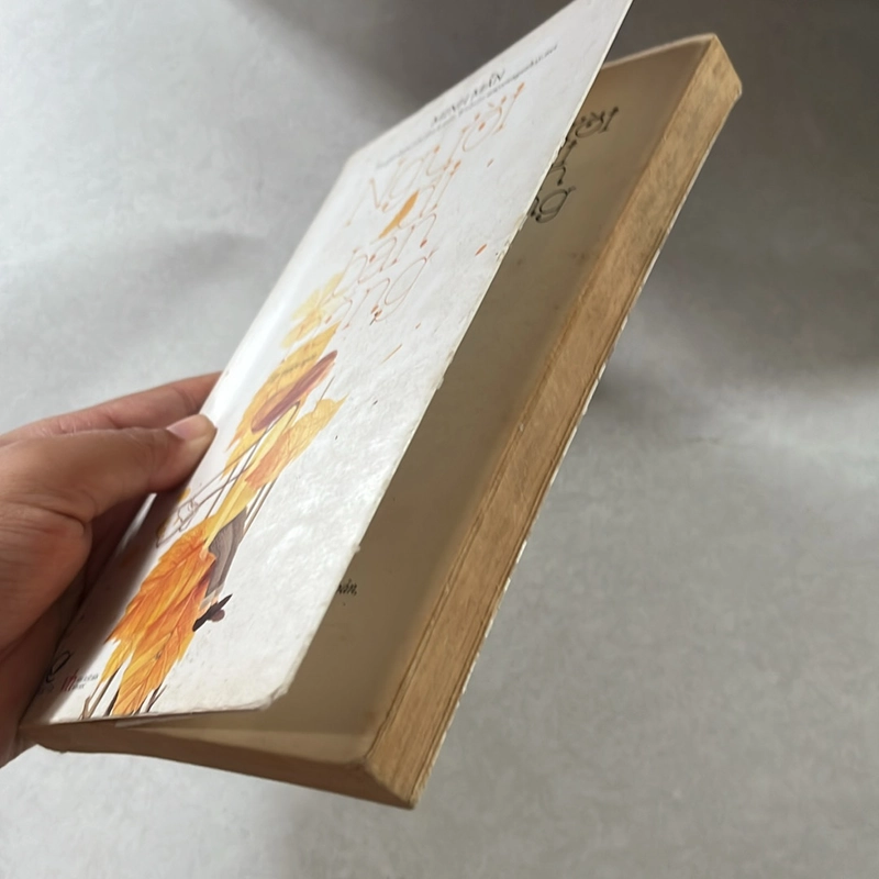 Người đi bán nắng - Minh Mẫn 501237