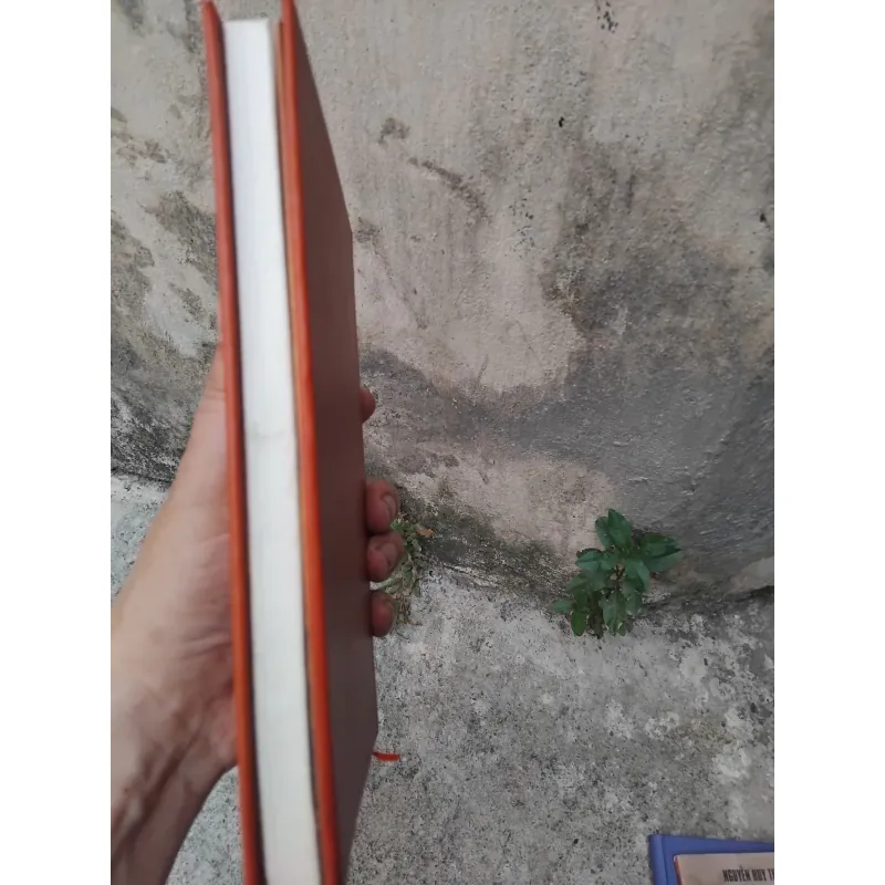 Phép tính của một nho sỹ của Trần Vũ  1004687