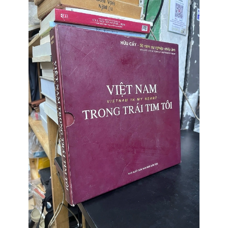 Việt Nam trong trái tim tôi - Hữu Cấy 731197