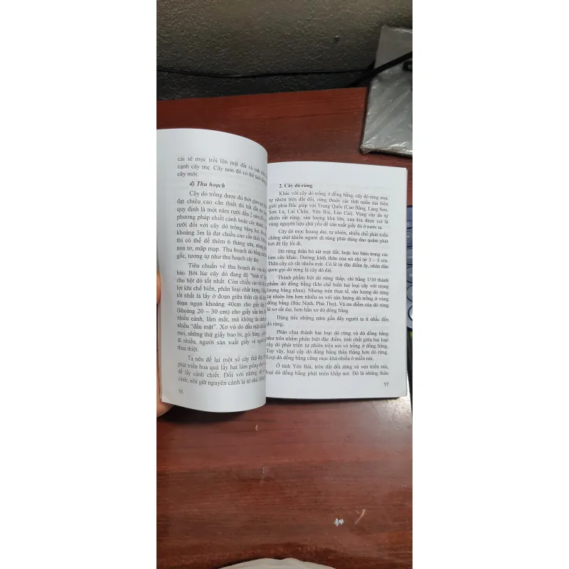 Nghề giấy dó tranh dân gian Việt Nam 782992