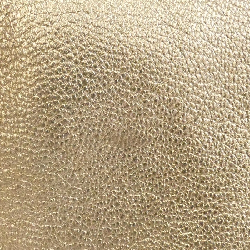 Túi Loewe - Hàng hiệu Authentic 804156