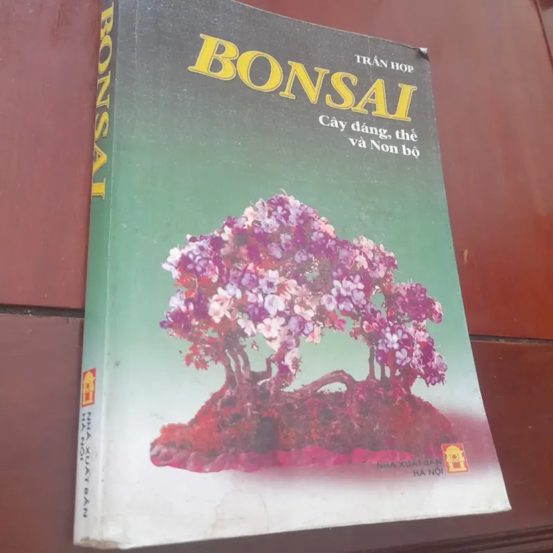 BONSAI Cây dáng, thế và Non bộ 751882