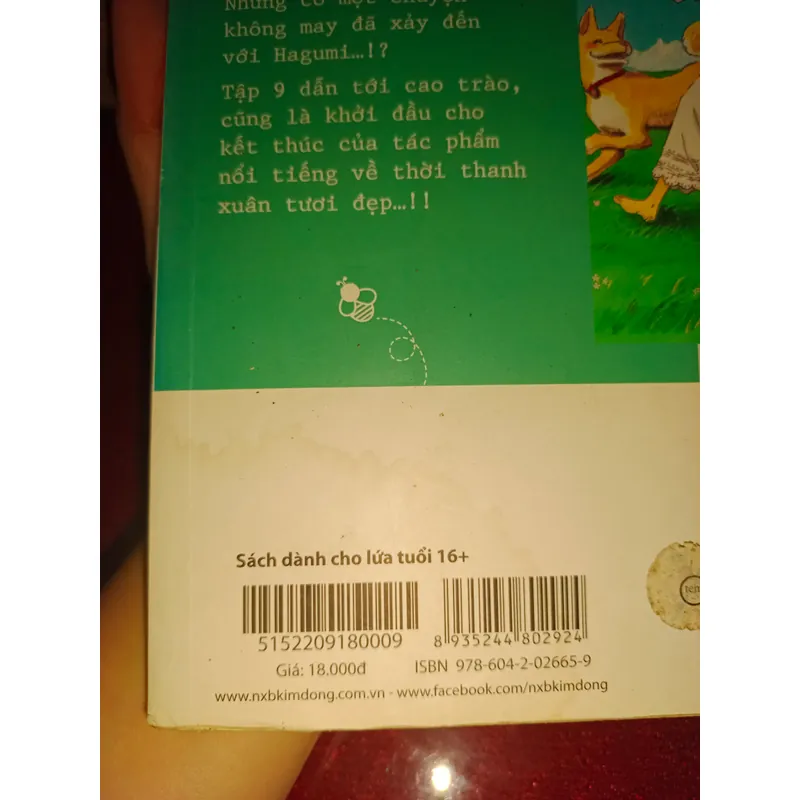 Honey and clover 596248