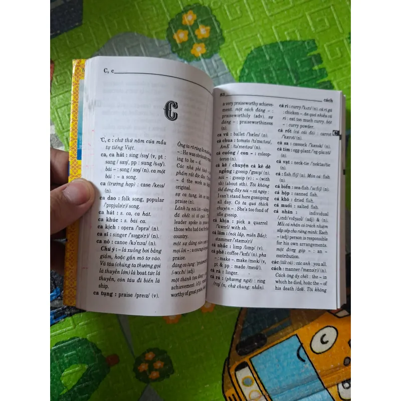 Từ điển Việt - Anh (The Vietnamese - English Dictionary) 1024159