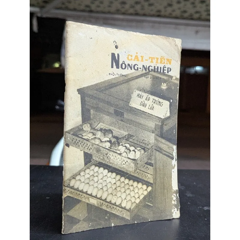 Cải thiện nông nghiệp phổ thông 588839