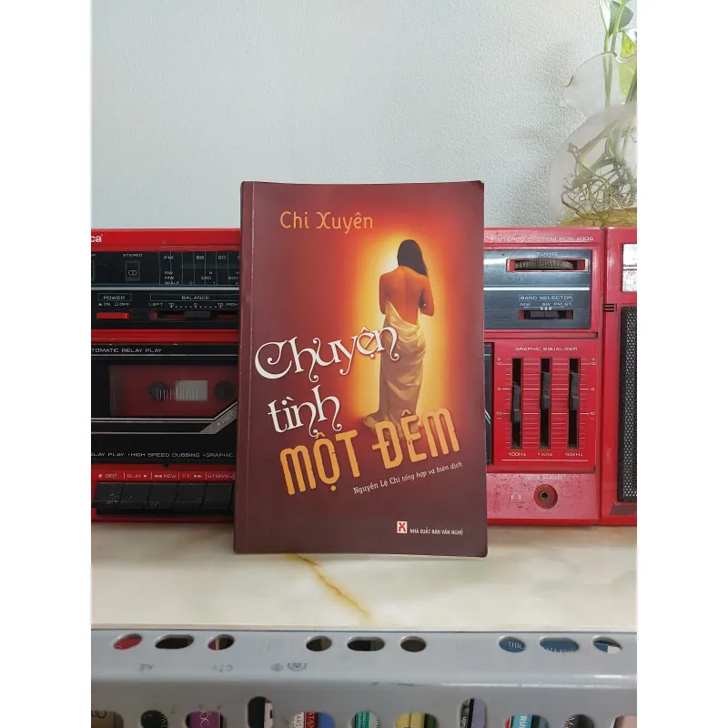 CHUYỆN TÌNH MỘT ĐÊM 1013345
