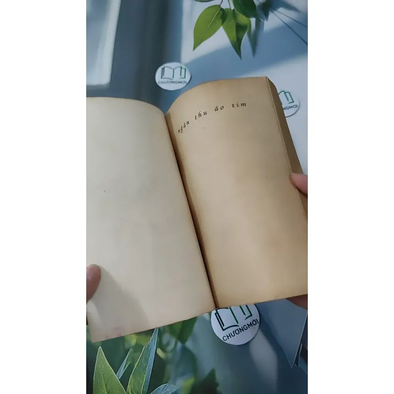 [XƯA] [HIẾM] Ngàn Thu Áo Tím (1990) - Đặng Thư Cưu 997644