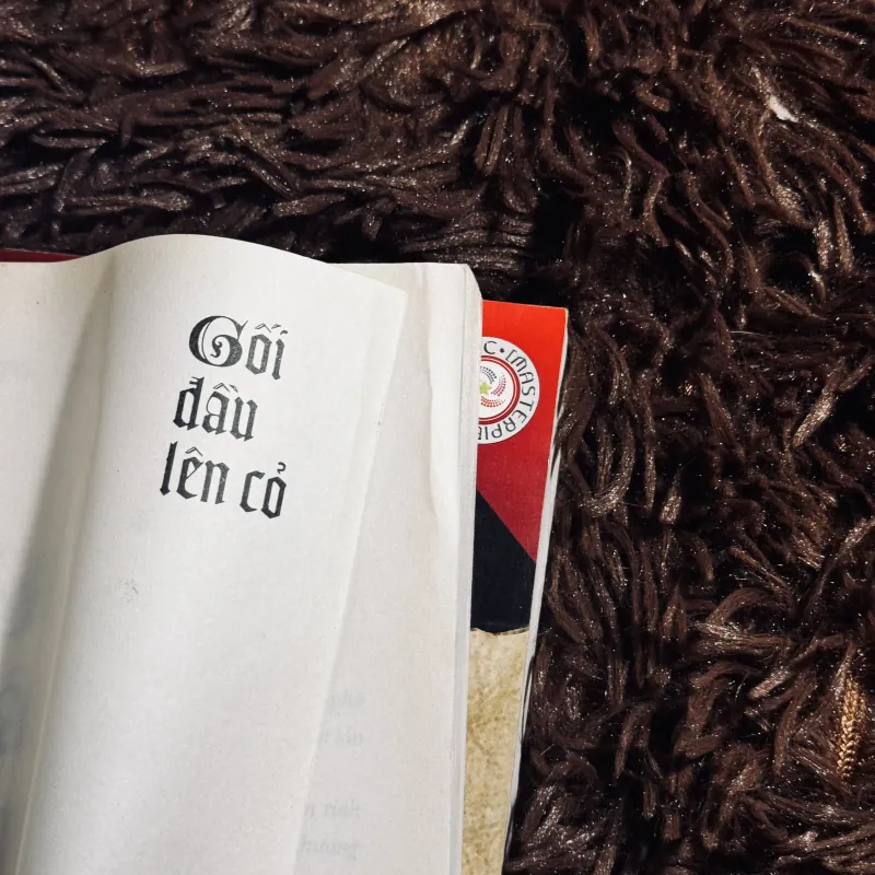 Combo Nỗi Lòng + Gối đầu lên cỏ 1020763