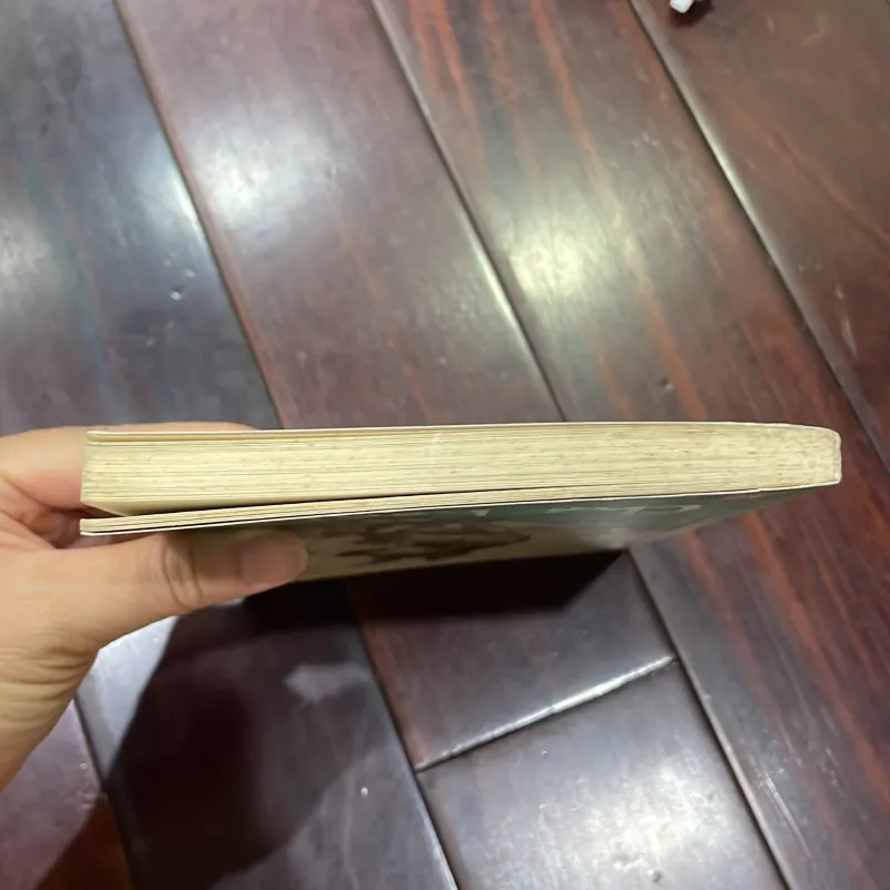 Văn học tuổi hoa - CHÓ HOANG - BÙI TỰ LỰC nxb KD 2017  1026002