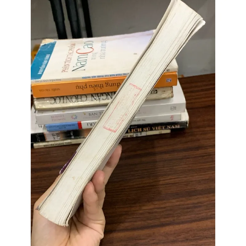 Ngữ Pháp Việt Nam – Phần câu – Diệp Quang Ban 589504