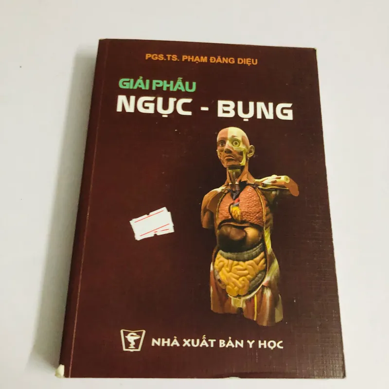 GIẢI PHẪU NGỰC - BỤNG  562735
