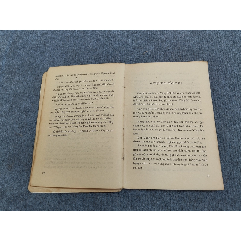 CON BÁO VÀNG - NGUYỄN QUỲNH 551777