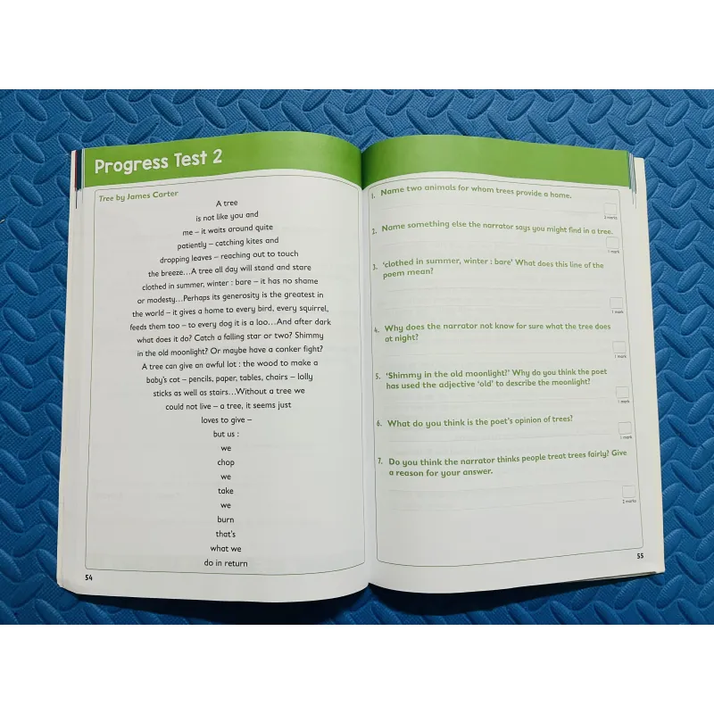 Collins Year 3 – Targeted Practice Workbook 791137