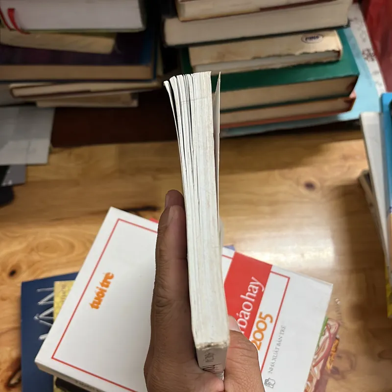 II Tựa sách: Hồi Kí Tâm “Si Đa” _ Vượt Lên Cái Chết - Trương Thị Hồng Tâm - 2012 700950