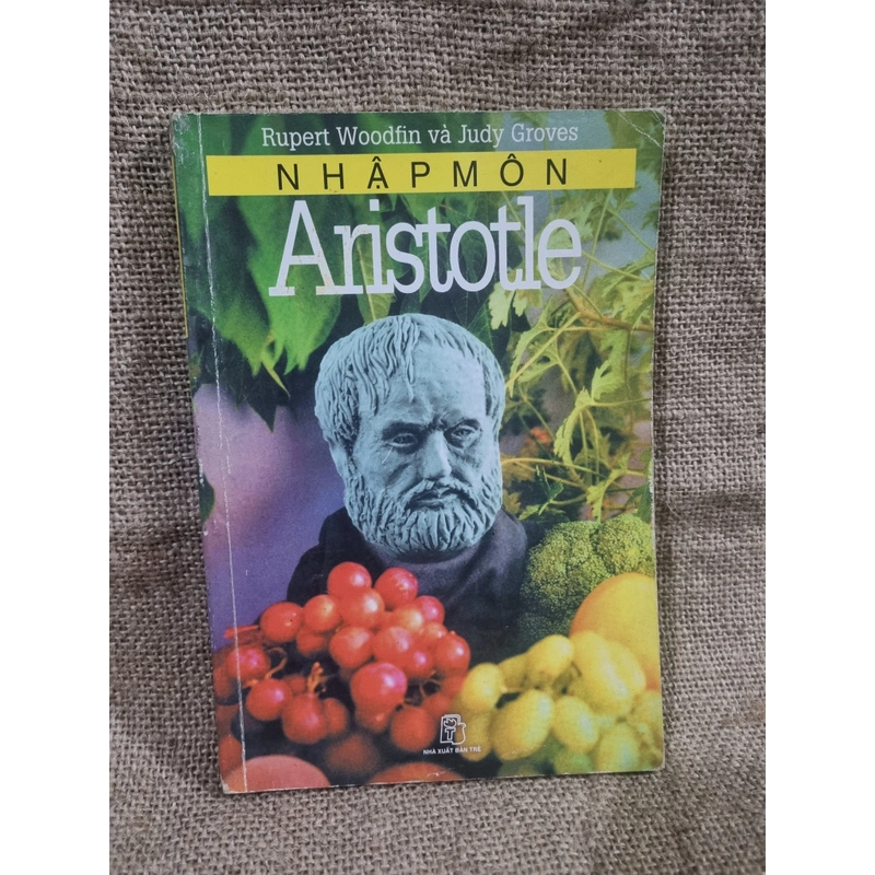 Nhập môn Aristotle  NXB Trẻ 307416