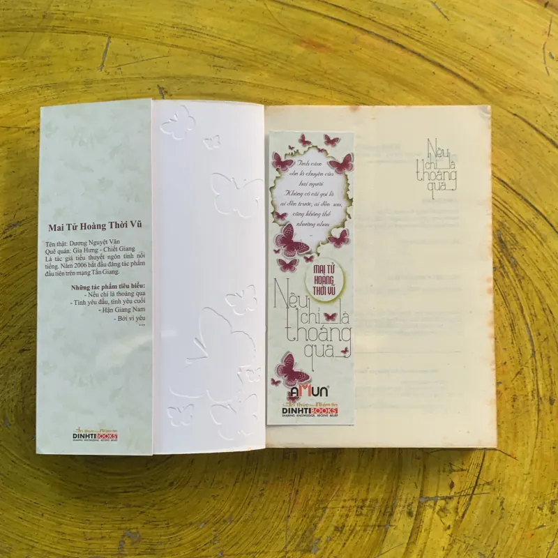 NẾU CHỈ LÀ THOÁNG QUA - MAI TỬ HOÀNG THỜI VŨ 991251