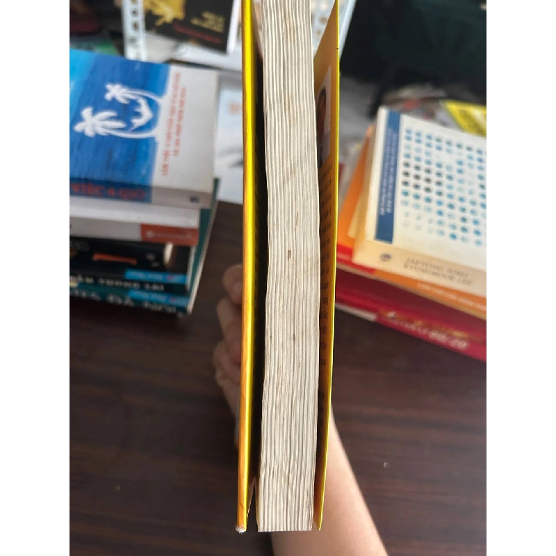 Kinh Tế Học Dành Cho Doanh Nhân - Shlomo Maital - Shlomo Maital 1008164